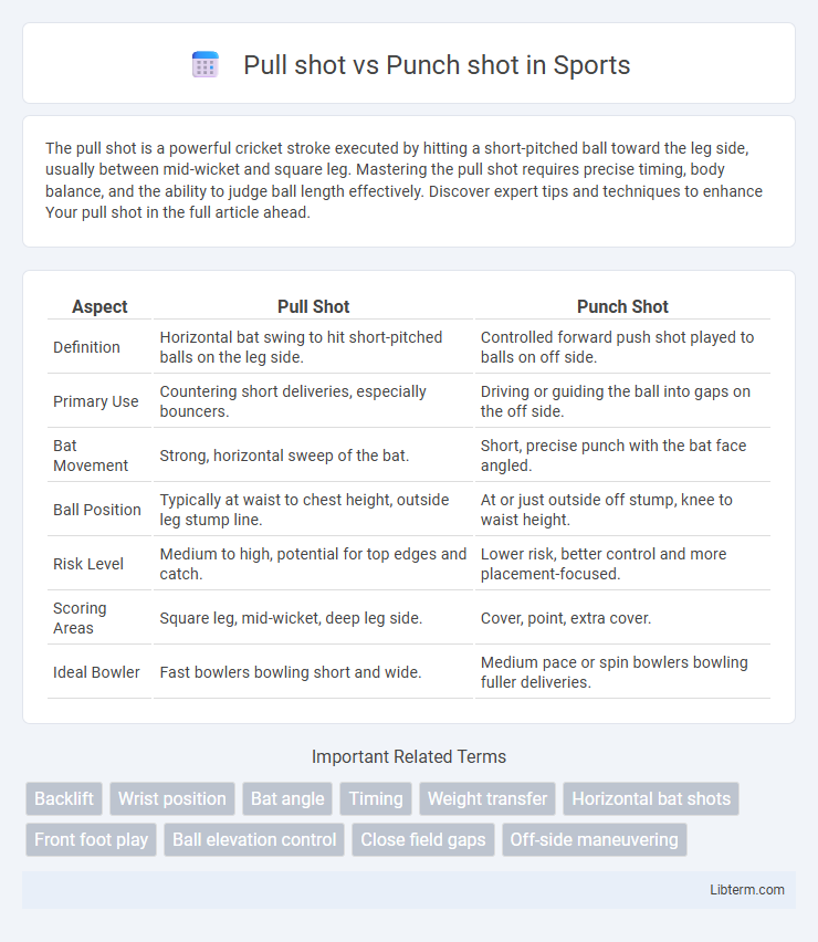 Punch shot vs Pull shot in Sports - What is The Difference?