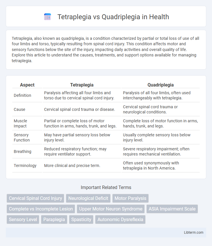 Quadriplegia vs Tetraplegia in Health - What is The Difference?