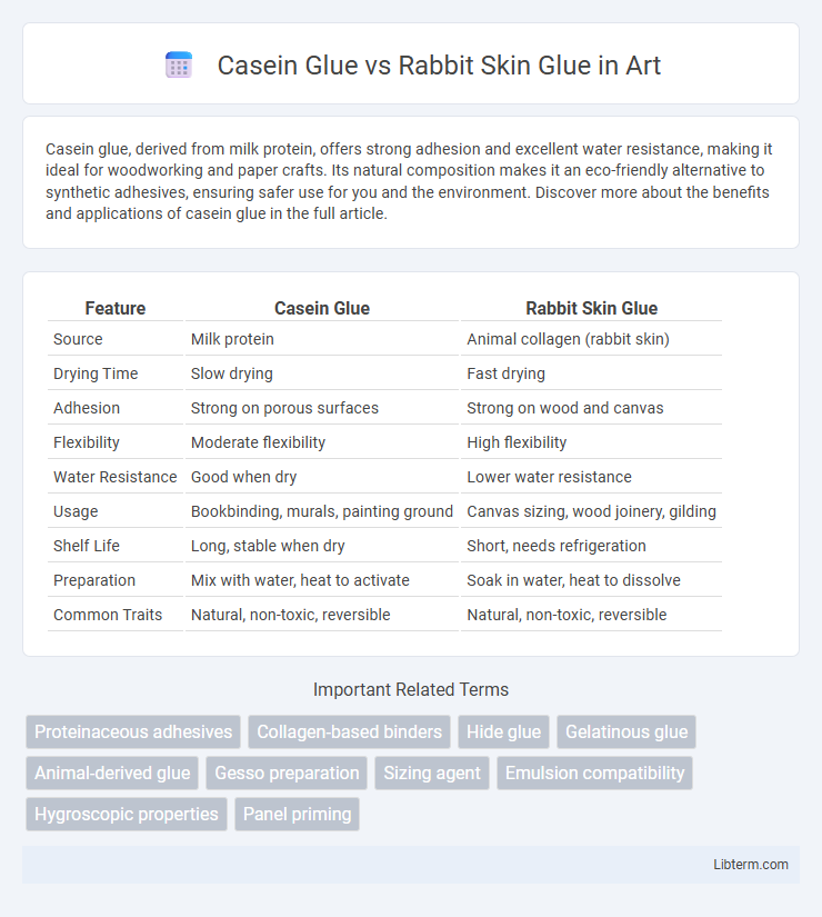 Rabbit Skin Glue vs Casein Glue in Art - What is The Difference?