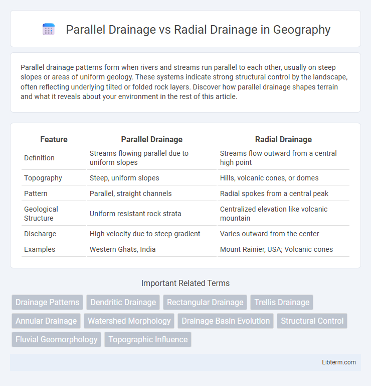 Radial Drainage vs Parallel Drainage in Geography - What is The Difference?