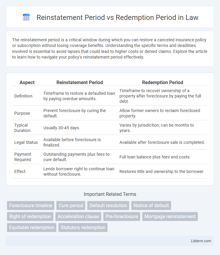 Redemption Period vs Reinstatement Period in Law - What is The Difference?