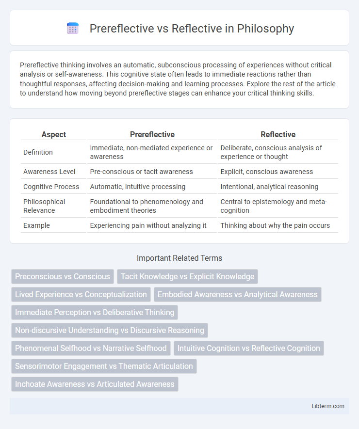 Reflective vs Prereflective in Philosophy - What is The Difference?