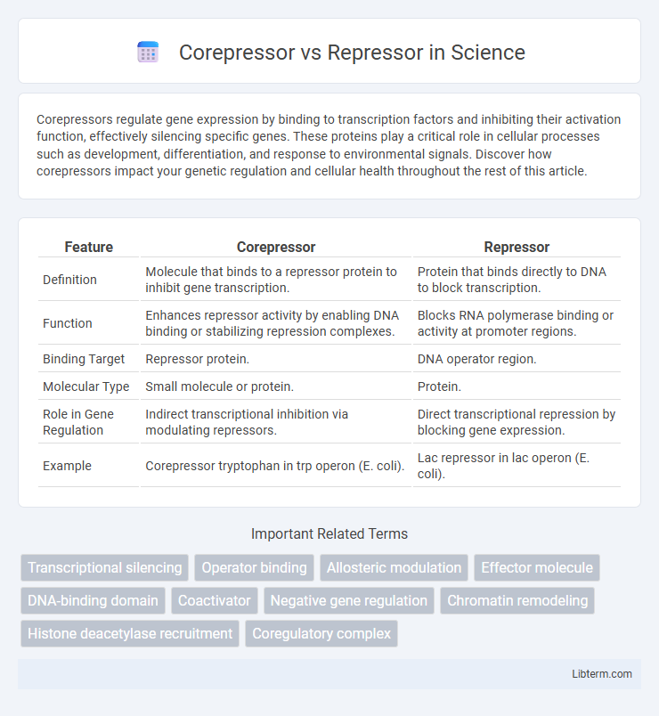 Repressor vs Corepressor in Science - What is The Difference?