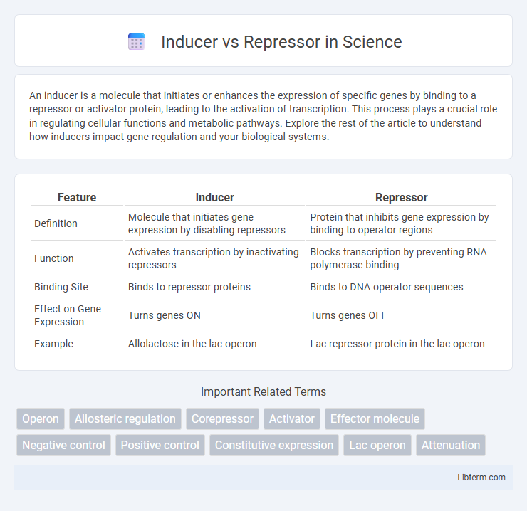 Repressor vs Inducer in Science - What is The Difference?