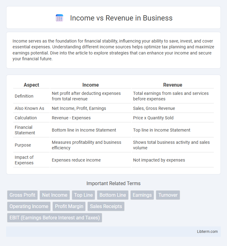 Revenue vs Income in Business - What is The Difference?