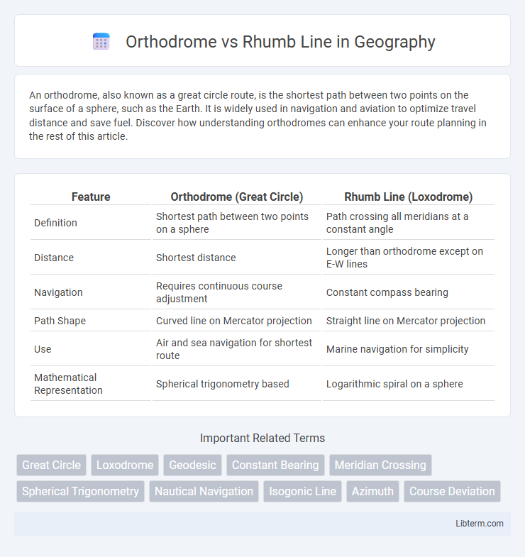 Rhumb Line vs Orthodrome in Geography - What is The Difference?