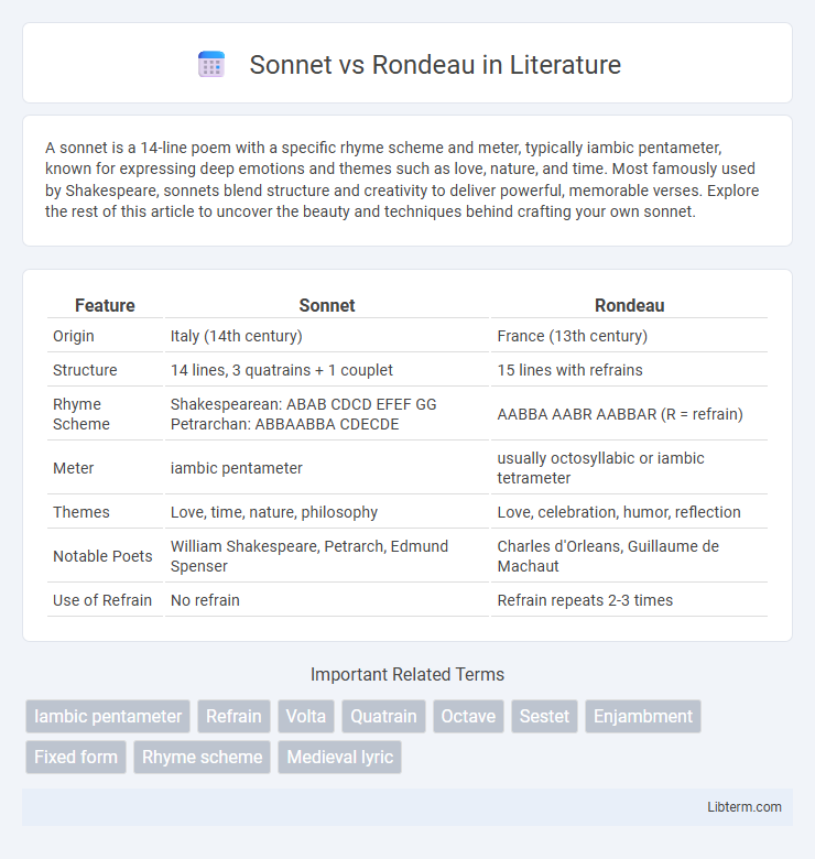 Rondeau vs Sonnet in Literature - What is The Difference?