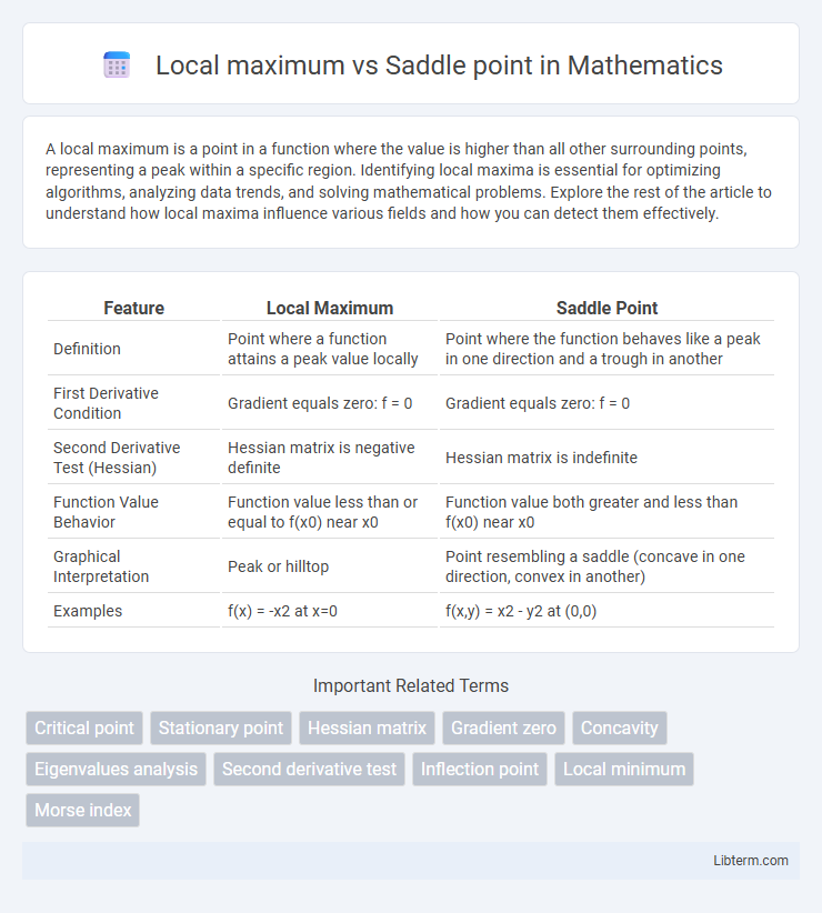 Saddle point vs Local maximum in Mathematics - What is The Difference?