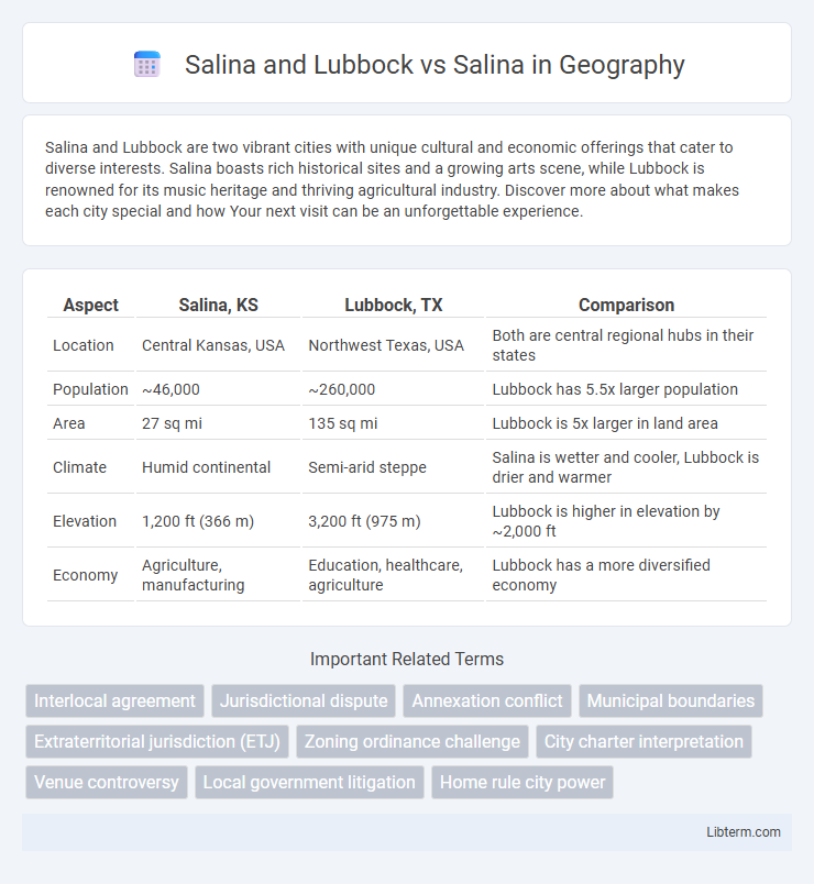 Salina vs Salina and Lubbock in Geography - What is The Difference?