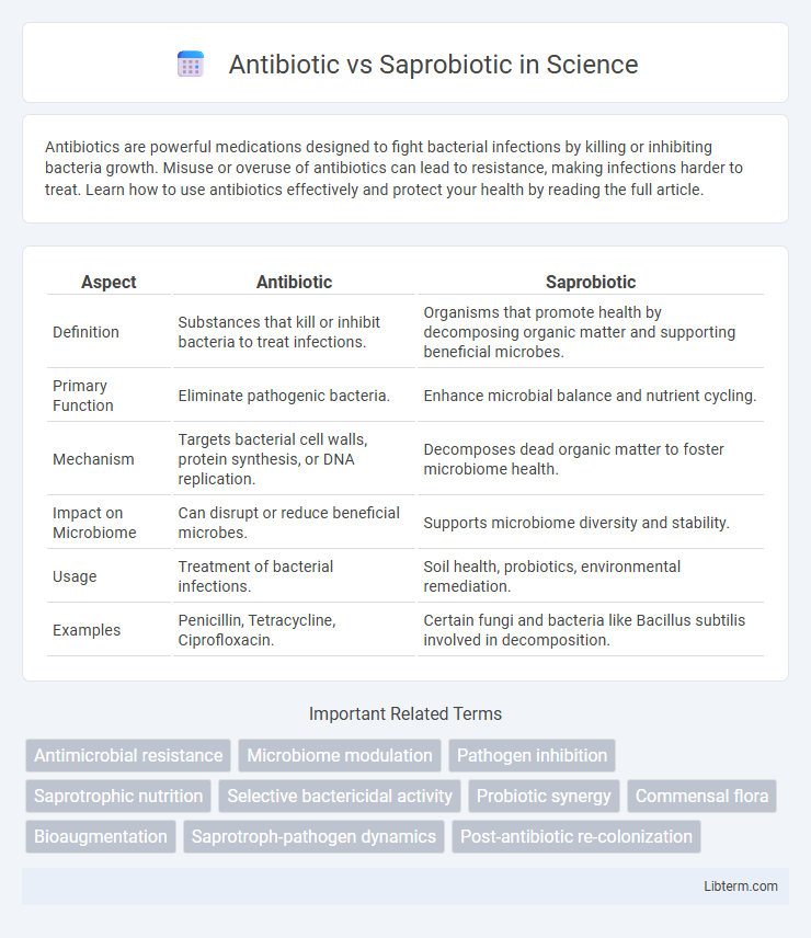 Saprobiotic vs Antibiotic in Science - What is The Difference?