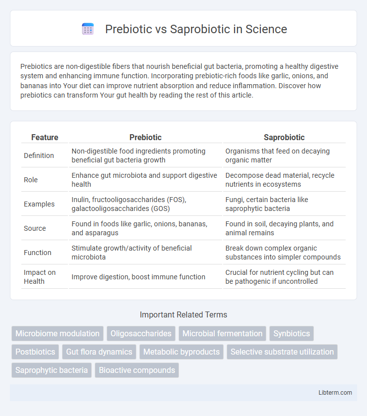 Saprobiotic vs Prebiotic in Science - What is The Difference?