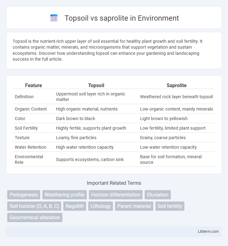 saprolite vs Topsoil in Environment - What is The Difference?