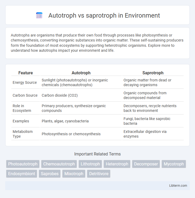 saprotroph vs Autotroph in Environment - What is The Difference?