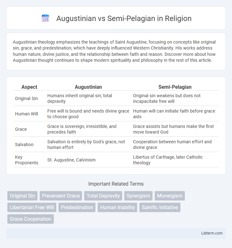 Semi-Pelagian vs Augustinian in Religion - What is The Difference?