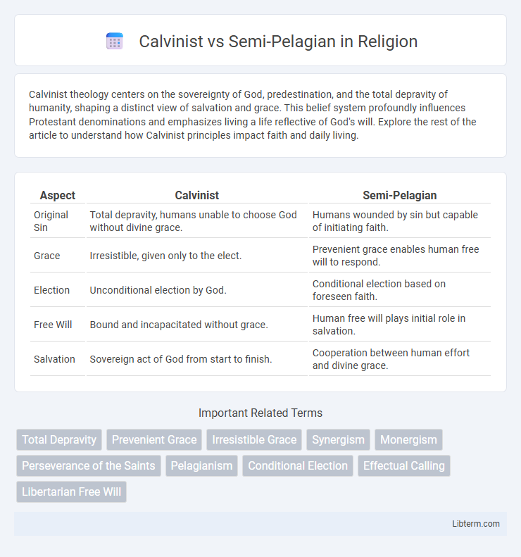 Semi-Pelagian vs Calvinist in Religion - What is The Difference?