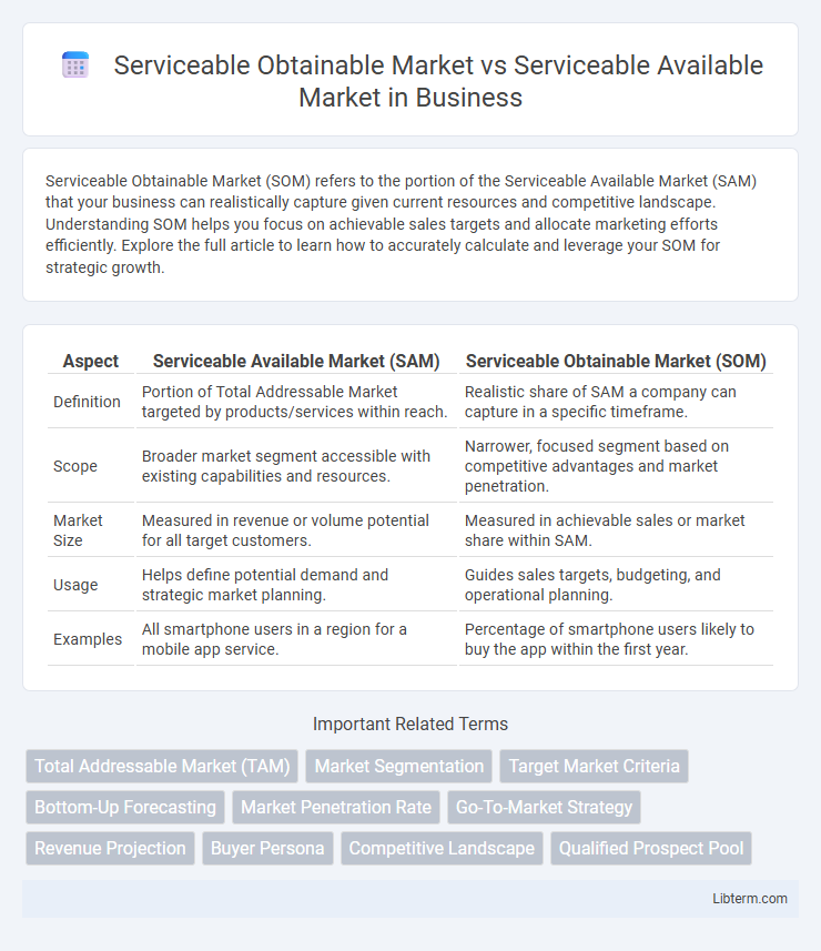 Serviceable Available Market vs Serviceable Obtainable Market in Business - What is The Difference?