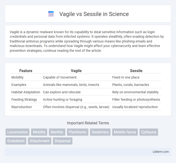 Sessile vs Vagile in Science - What is The Difference?