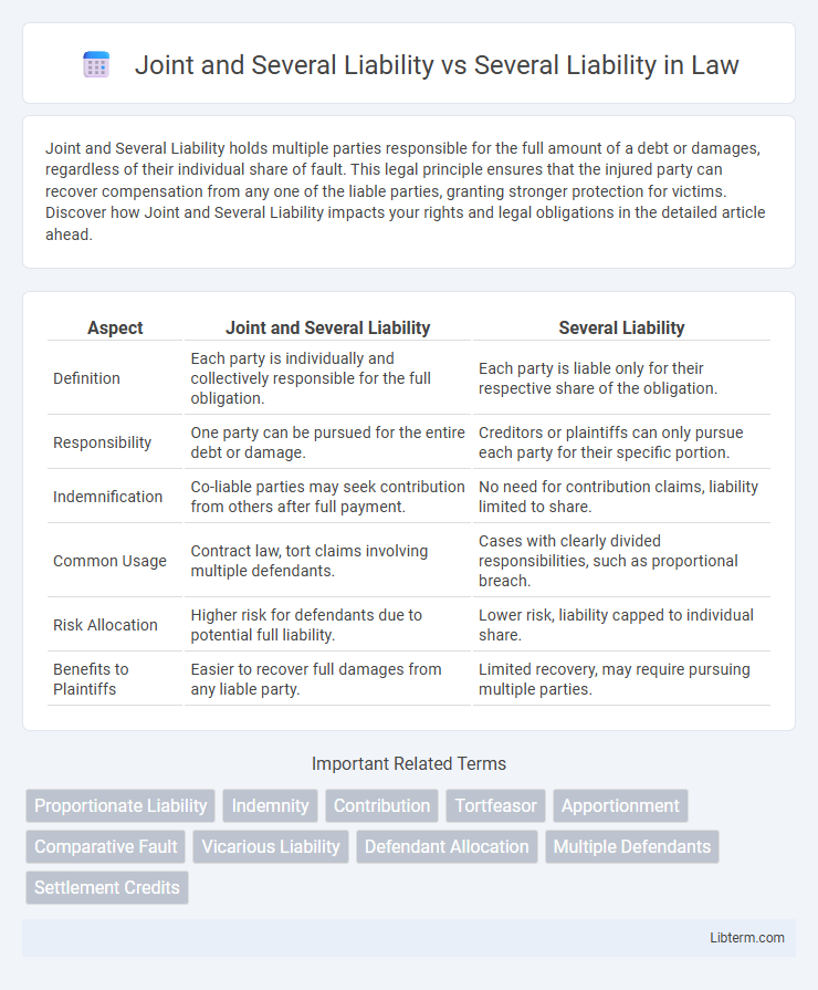 Several Liability vs Joint and Several Liability in Law - What is The Difference?