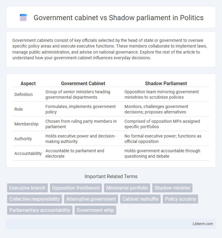 Shadow parliament vs Government cabinet in Politics - What is The Difference?