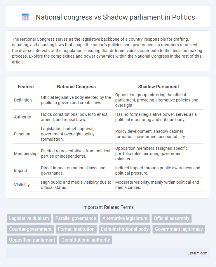 Shadow parliament vs National congress in Politics - What is The Difference?