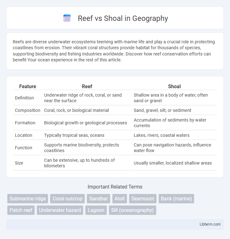Shoal vs Reef in Geography - What is The Difference?
