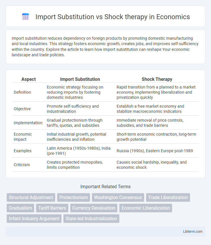 Shock therapy vs Import Substitution in Economics - What is The Difference?