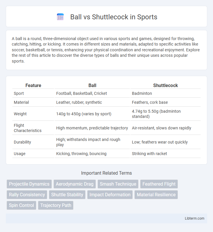 Shuttlecock vs Ball in Sports - What is The Difference?
