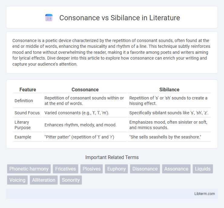 Sibilance vs Consonance in Literature - What is The Difference?