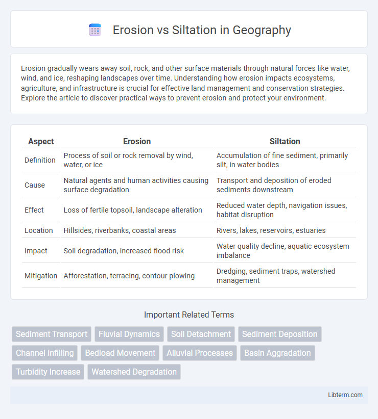 Siltation vs Erosion in Geography - What is The Difference?