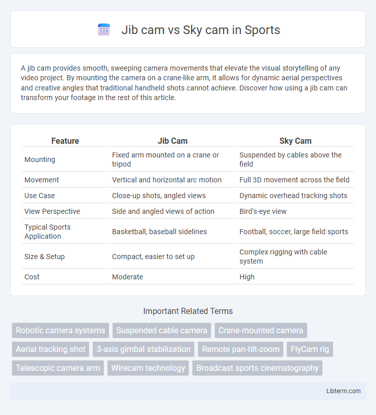Sky cam vs Jib cam in Sports - What is The Difference?