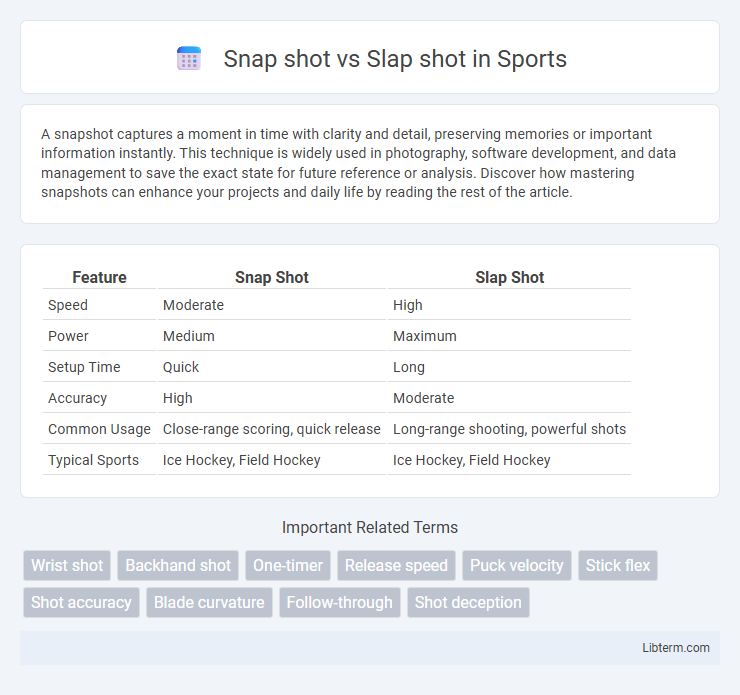 Slap shot vs Snap shot in Sports - What is The Difference?