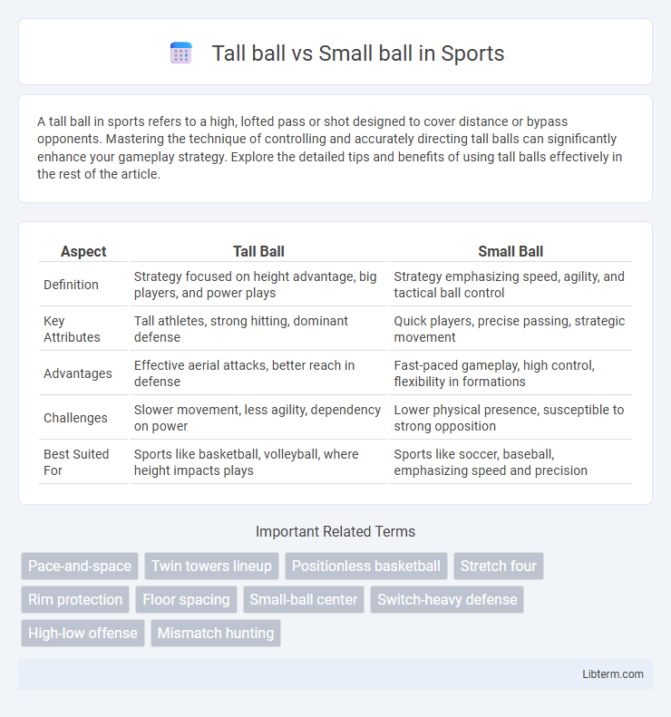 Small ball vs Tall ball in Sports - What is The Difference?