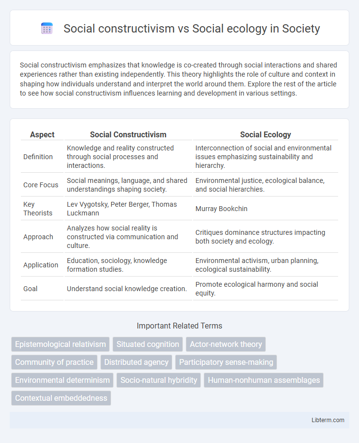 Social ecology vs Social constructivism in Society - What is The Difference?