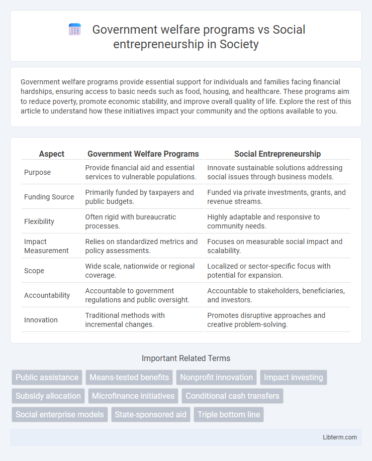 Social entrepreneurship vs Government welfare programs in Society - What is The Difference?