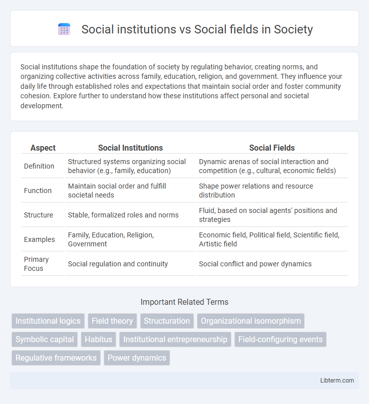 Social fields vs Social institutions in Society - What is The Difference?