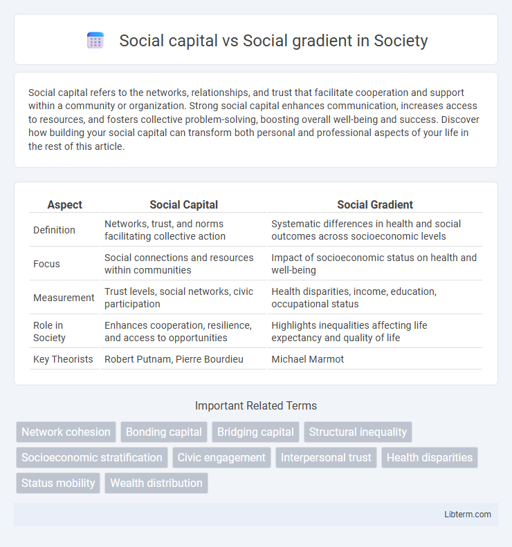 Social gradient vs Social capital in Society - What is The Difference?