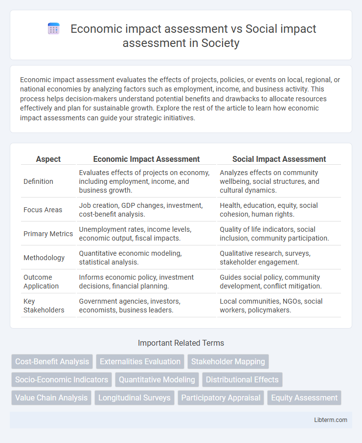Social impact assessment vs Economic impact assessment in Society - What is The Difference?