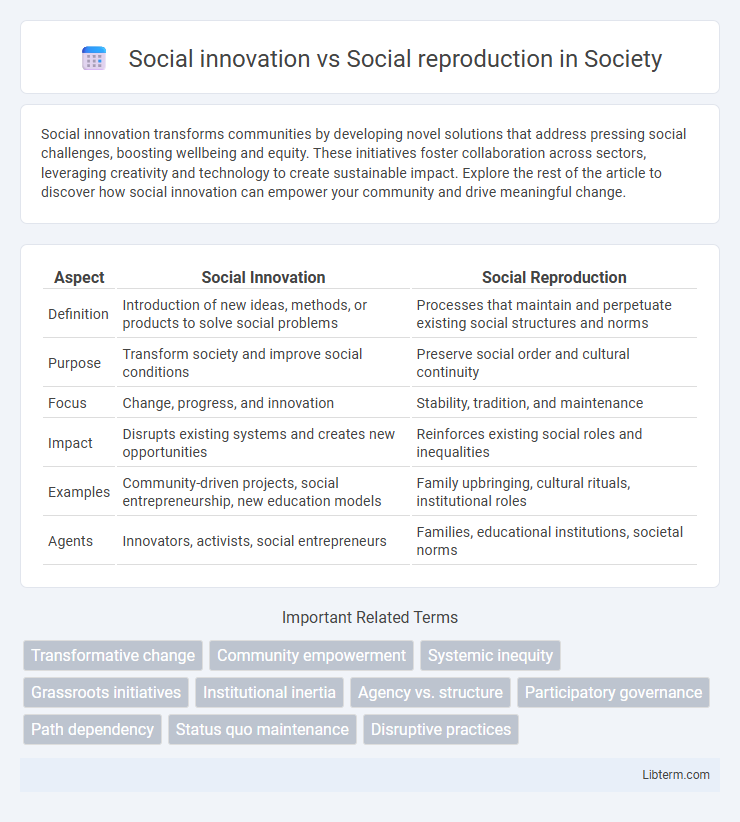 Social reproduction vs Social innovation in Society - What is The Difference?
