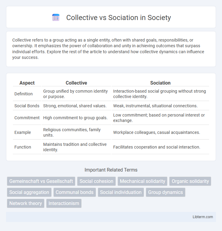 Sociation vs Collective in Society - What is The Difference?