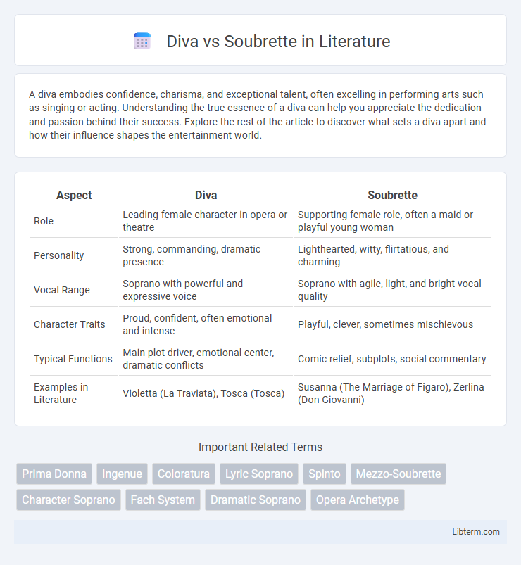 Soubrette vs Diva in Literature - What is The Difference?