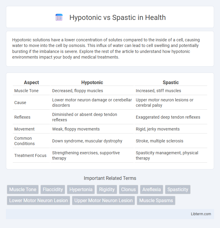 Spastic vs Hypotonic in Health - What is The Difference?