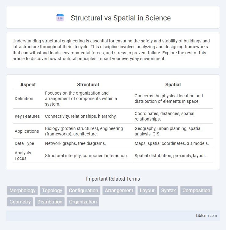 Spatial vs Structural in Science - What is The Difference?