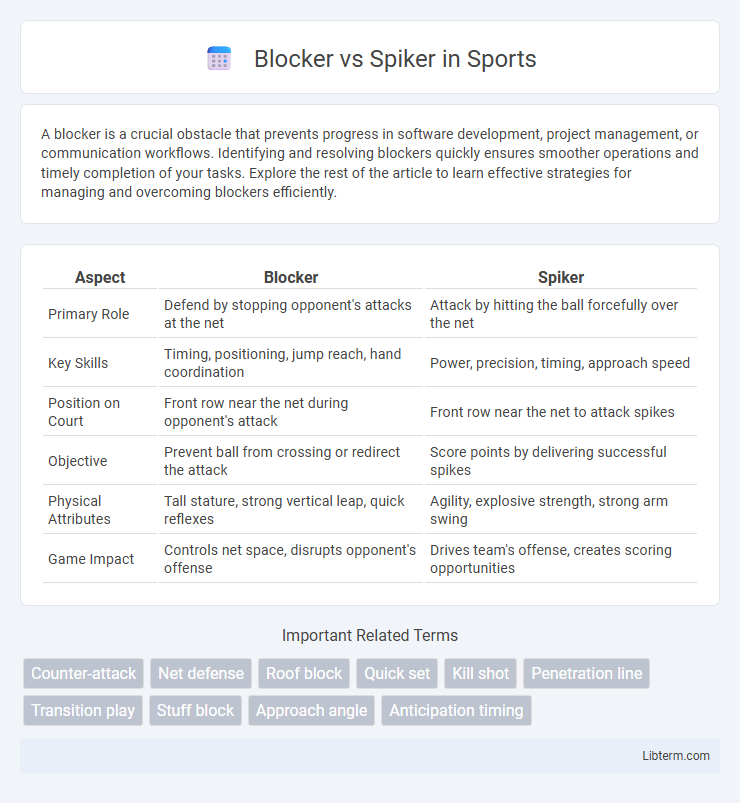 Spiker vs Blocker in Sports - What is The Difference?