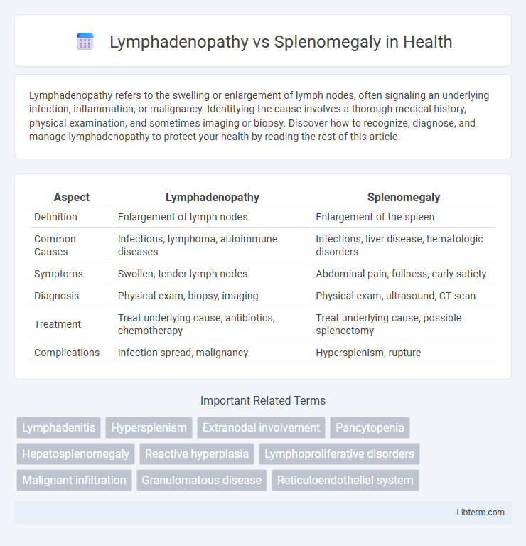 Splenomegaly vs Lymphadenopathy in Health - What is The Difference?
