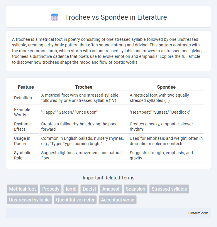 Spondee vs Trochee in Literature - What is The Difference?