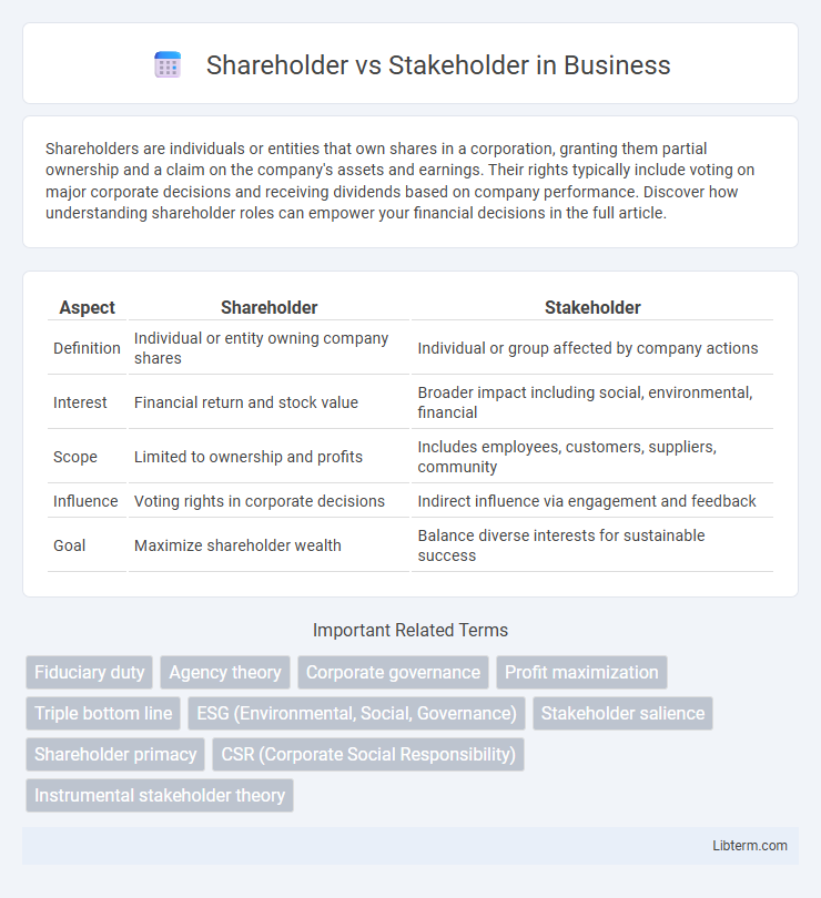 Stakeholder vs Shareholder in Business - What is The Difference?
