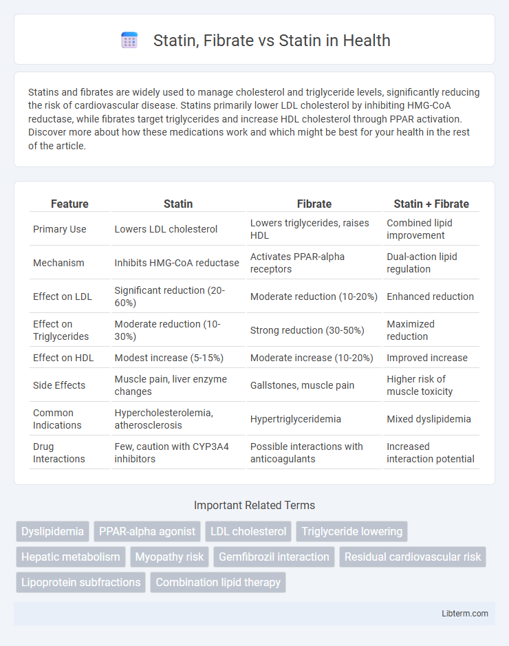 Statin vs Statin, Fibrate in Health - What is The Difference?