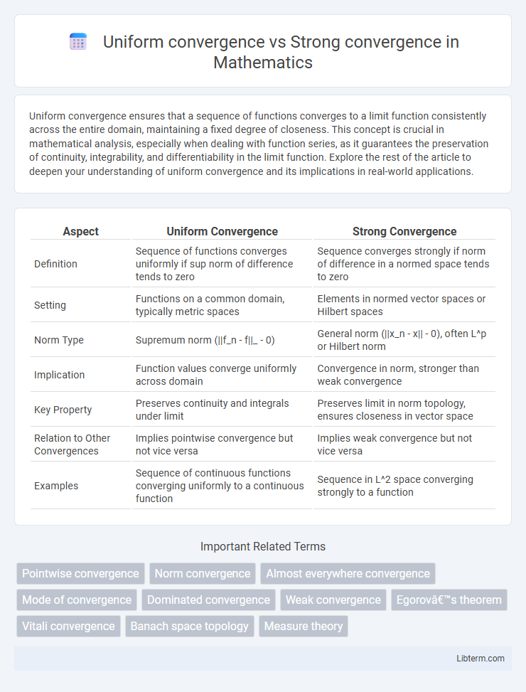Strong convergence vs Uniform convergence in Mathematics - What is The Difference?