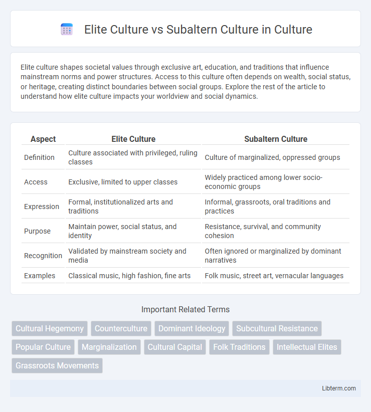 Subaltern Culture vs Elite Culture in Culture - What is The Difference?