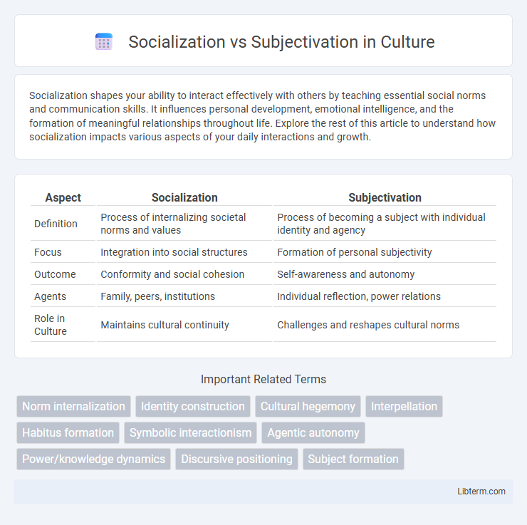 Subjectivation vs Socialization in Culture - What is The Difference?